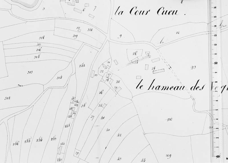 Extrait du plan cadastral, section C, parcelles 24, 25 et 29.