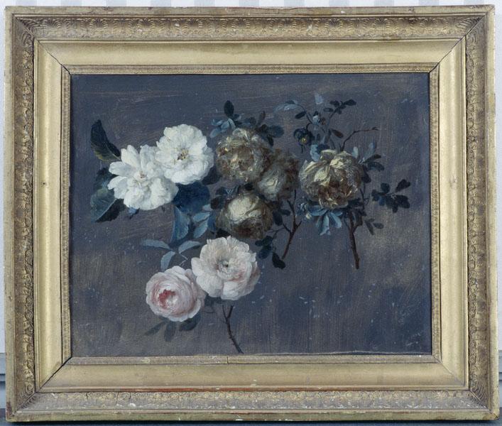 Roses anciennes.