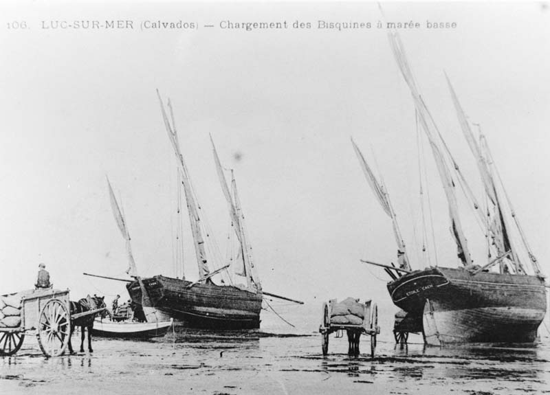 Chargement des bisquines à marée basse.- Carte postale, s.d. (Collection particulière Gallardo, Caen).