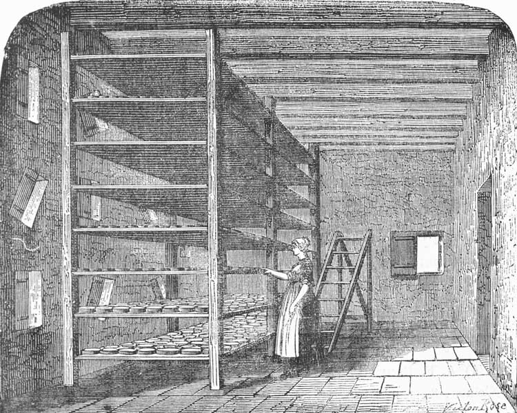 Cave de perfection.- Gravure, de Victor Rose, tirée de : MORIERE, J. De l'industrie fromagère dans le département du Calvados. Annuaire des cinq départements de la Normandie, 1878, tome 45.