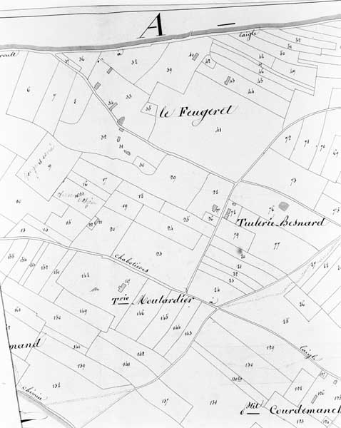 Cadastre napoléonien, section B.- Plan cadastral. (AD Orne. 3P2 214).
