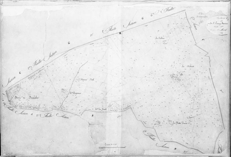 Cadastre, section C1.- Plan cadastral, 1825.