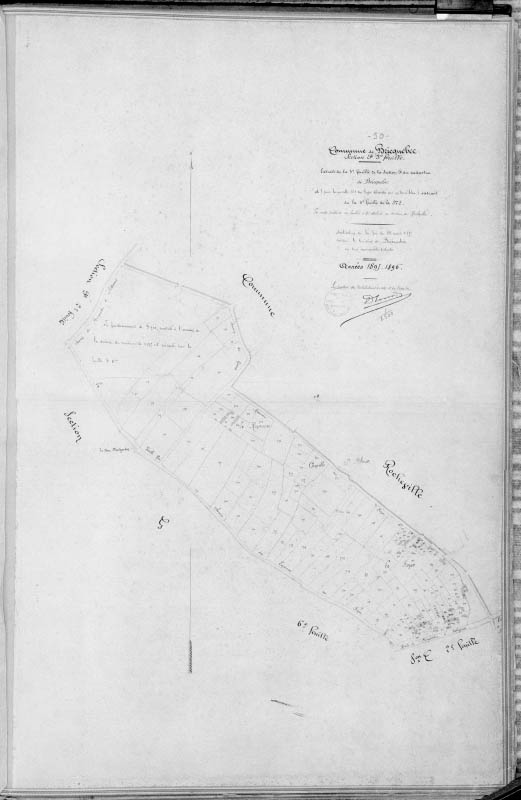 Cadastre, section F3.- Plan cadastral, 1825.