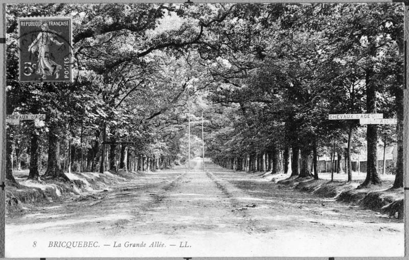 9. Bricquebec. - La Grande Allée, vue de l'Avenue de Matignon depuis la place des Buttes.- Carte postale, s.d., début 20e siècle. (AD Manche).