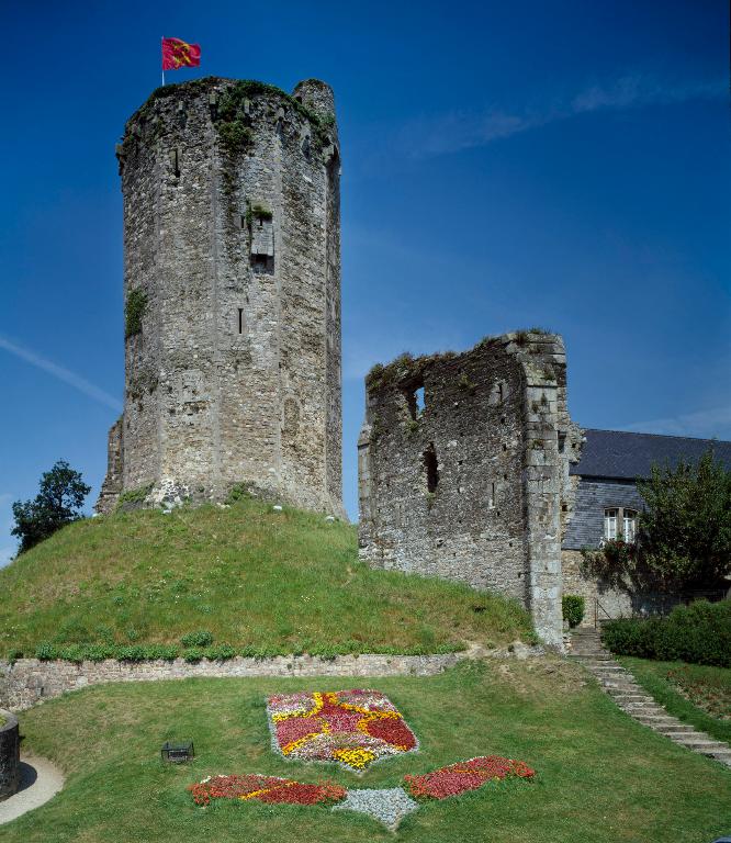 Le donjon. ; Vue d'ensemble du donjon et de la motte.
