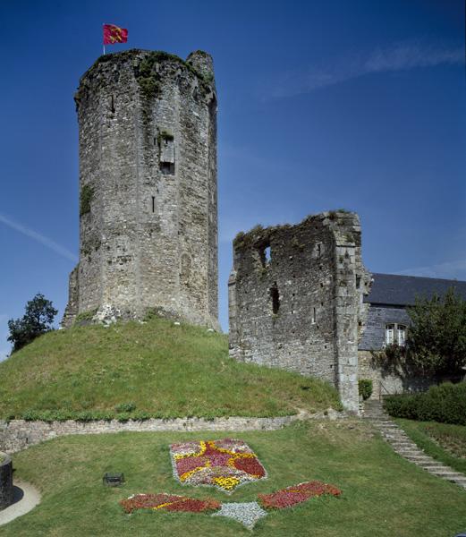 Vue d'ensemble du donjon et de la motte.