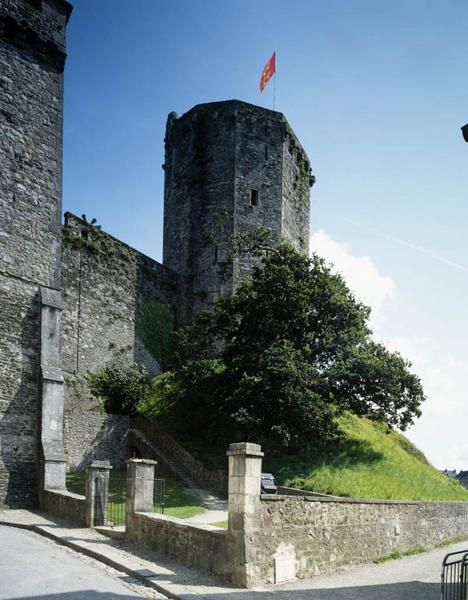 Vue d'ensemble du donjon et de la motte.