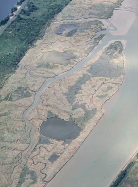 'Vue aérienne d''une zone marécageuse.'