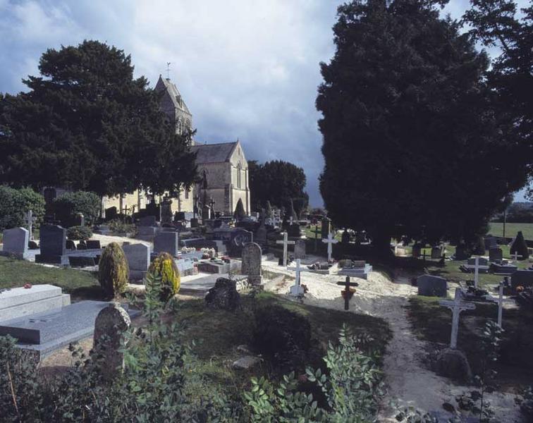 Cimetière et if funéraire.