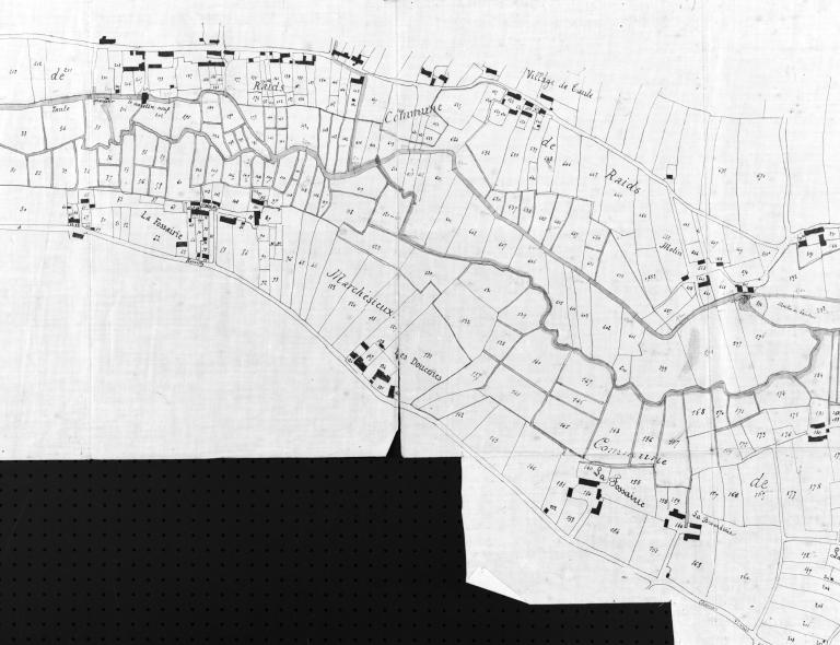 Plan parcellaire le long de la Taute établi le 15 mars 1881 pour le syndicat de curage des communes de Marchésieux, Raids, Saint-Sébastien-de-Raids, Saint-Martin-d'Aubigny. Détail.- Plan cadastral (Mairie de Marchésieux).