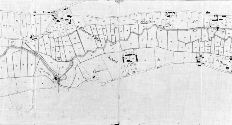 Plan parcellaire le long de la Taute établi le 15 mars 1881 pour le syndicat de curage des communes de Marchésieux, Raids, Saint-Sébastien-de-Raids, Saint-Martin-d'Aubigny. Détail.- Plan cadastral (Mairie de Marchésieux).