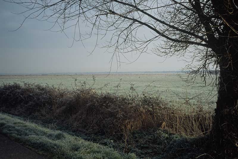 Vue du marais.