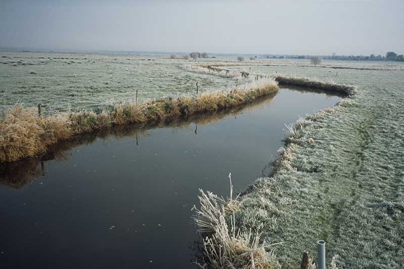 Vue du marais.