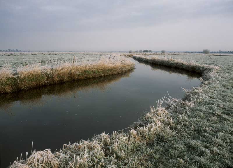 Vue du marais des Rouges Pièces. ; Nay. Vue des marais.