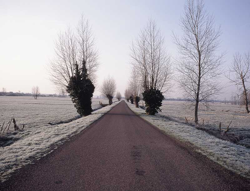 Les Rouges Pièces, vue du marais depuis la D 57, prise du nord-est.