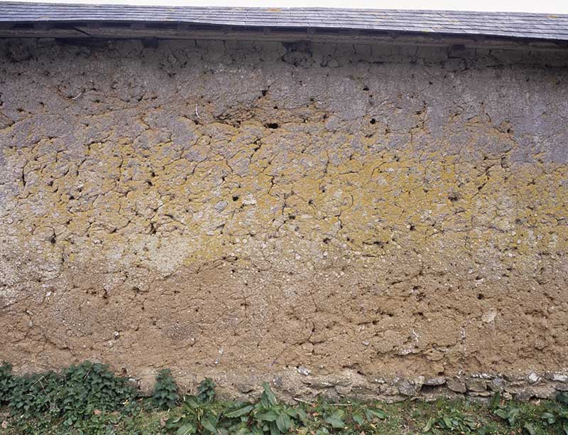 Mur en bauge du potager, détail, vue prise de l'ouest.