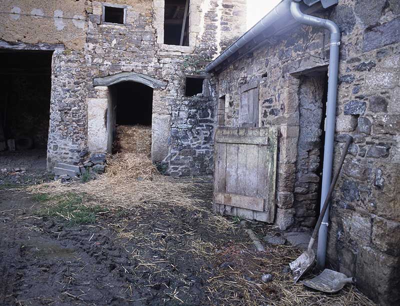 Détail de la charretterie.
