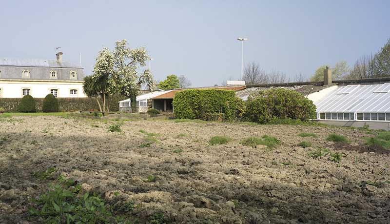 Vue des serres de l'ancien jardin botanique prise du sud-est.