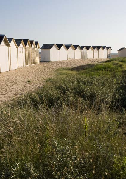 'Vue d''ensemble des cabines de bains sur la plage.'