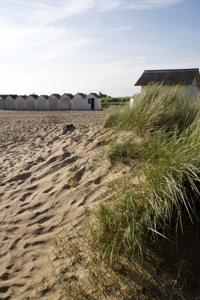'Vue d''ensemble des cabines de bains sur la plage.'