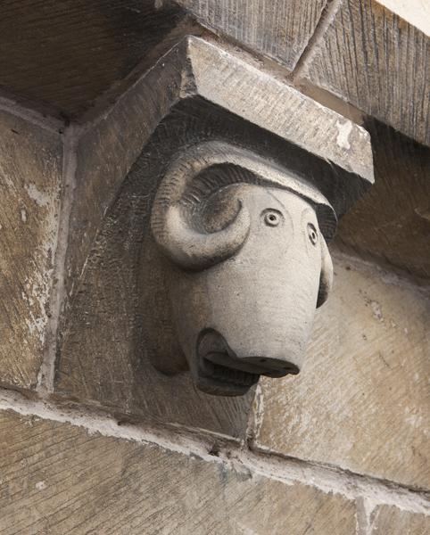 Vue extérieure : mur gouttereau nord, 20e modillon à tête d'animal (d'est en ouest).