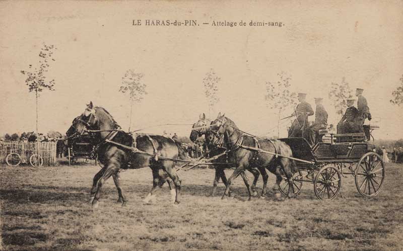 Le Haras du Pin. - Attelage de demi-sang [Grand break attribuable au carrossier parisien Hurel, attelé à quatre chevaux de demi-sang].- Carte postale, début 20e siècle (Collection particulière Tanneguy de Sainte Marie).