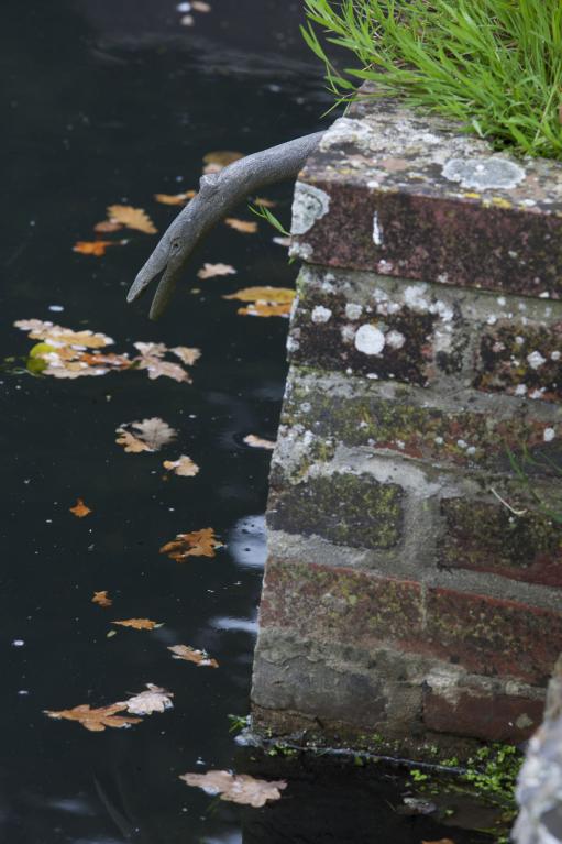 Bassin de retenue, détail.