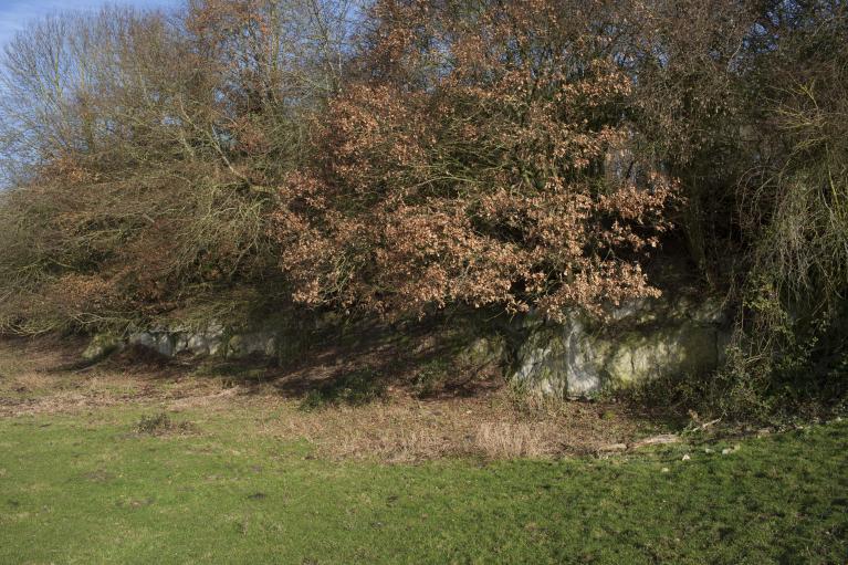 Excavation de pierre calcaire au nord du bourg.