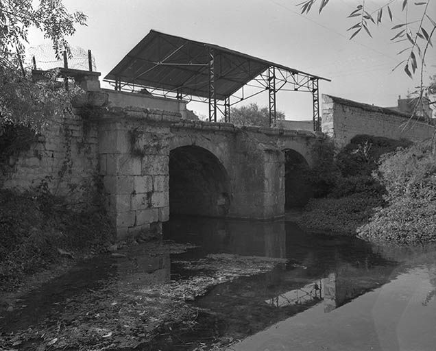 Pont.
