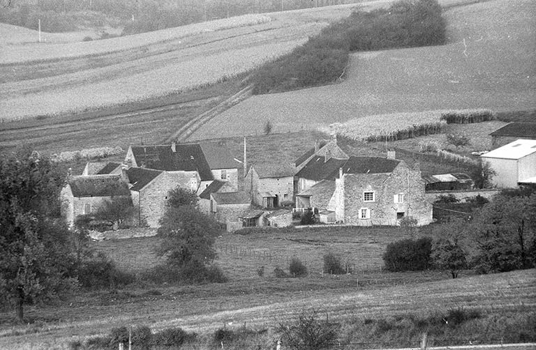 Vue d'ensemble.