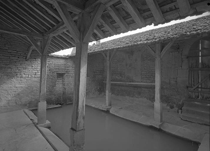 Vue intérieure. Bassin et charpente.