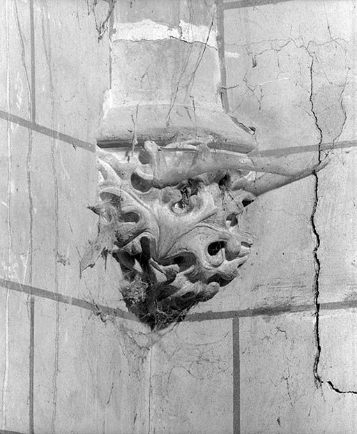 Culot sculpté d'un ornement végétal.