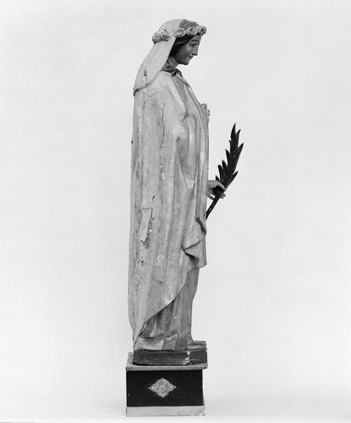 Vue de profil droit.
