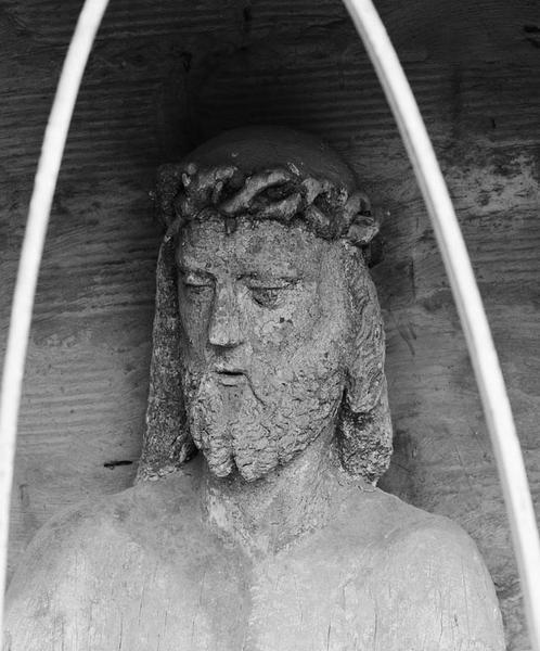 Détail de la tête.