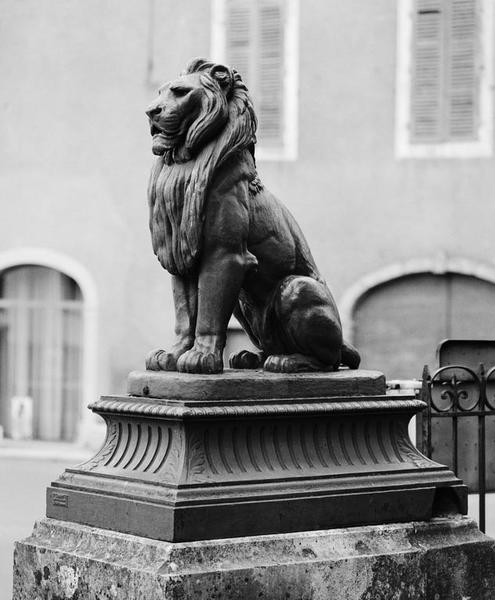 Détail d'un lion conservé.