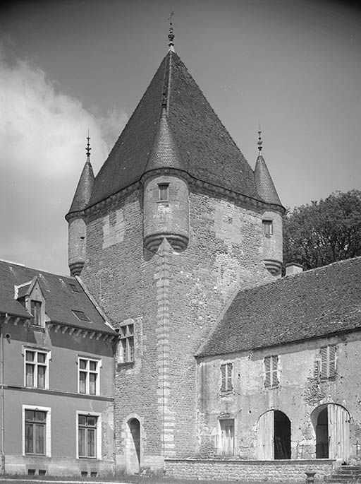 Donjon, vue depuis la cour.