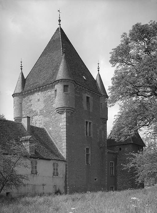 Donjon, vue depuis le jardin.