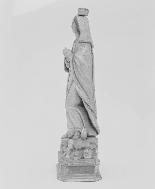 Vue de profil gauche.