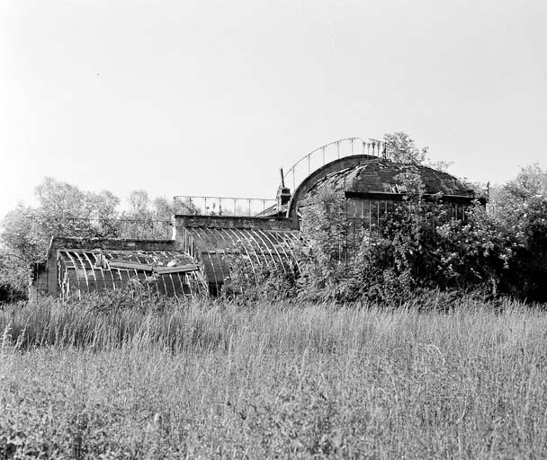 Vestiges de la serre envahie par la végétation, vue prise en 1984.