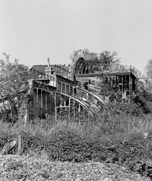 Vestiges de la serre envahie par la végétation, vue prise en 1984.
