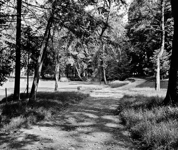 Allée.