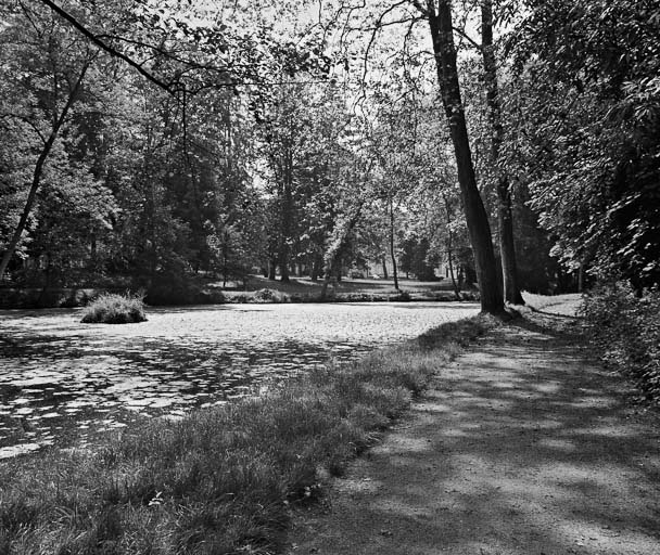 Allée bordant le lac.
