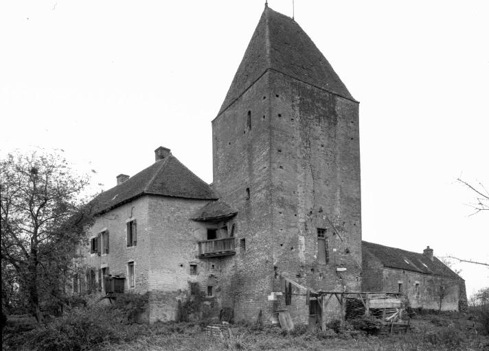 Donjon, bâtiment d'habitation et porcheries, Vue prise du fossé nord-est.