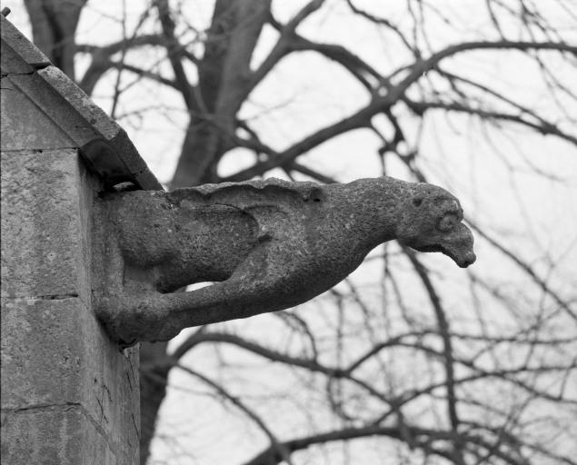Gargouille sur le contrefort droit de la chapelle droite.