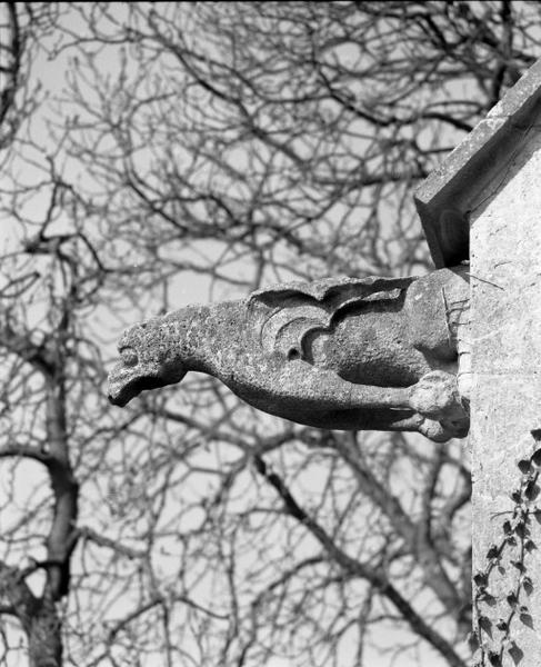 Gargouille sur le contrefort droit de la chapelle droite.