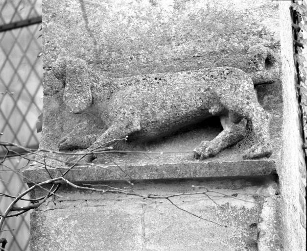 Chien sculpté sur le larmier du contrefort droit du choeur.