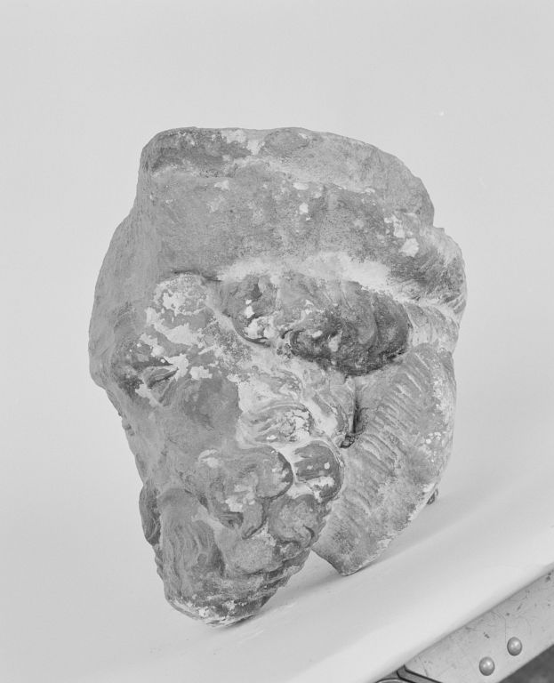 Fragment de statue : tête d'homme (INV. 44.2164), profil gauche