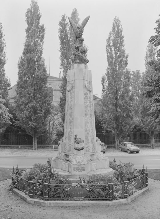 Vue d'ensemble, face postérieure