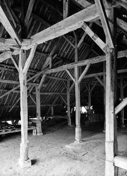 Halle, détail de la charpente. Vue prise de l'angle antérieur droit.
