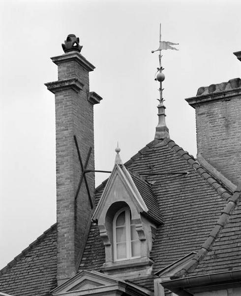 Logis, croupe droite, détail